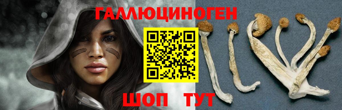 Туймазы  Галлюциногенные грибы прущие грибы  Вход с VPN  что такое   Галлюциногенные грибы мухоморы 